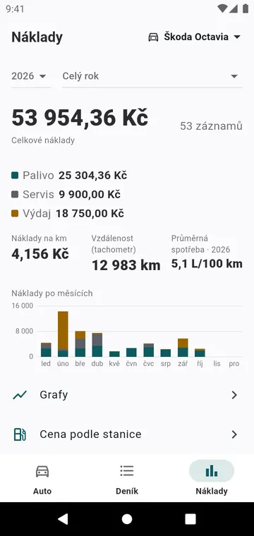 Náklady za rok podle druhu a po měsících a cena za kilometr
