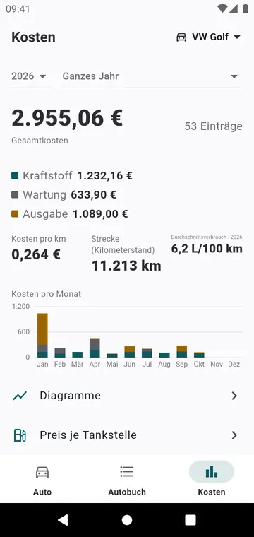 Die Kosten des Jahres, nach Art und nach Monat, und die Kosten pro Kilometer