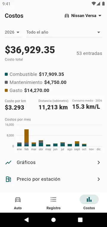 Los costos del año, por tipo y por mes, y el costo por kilómetro