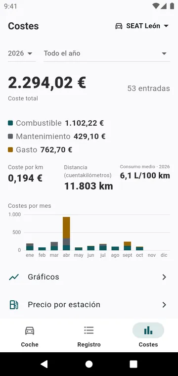 Los costes del año, por tipo y por mes, y el coste por kilómetro