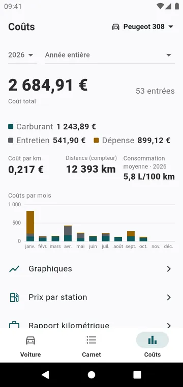 Les coûts de l'année, par nature et par mois, et le coût au kilomètre