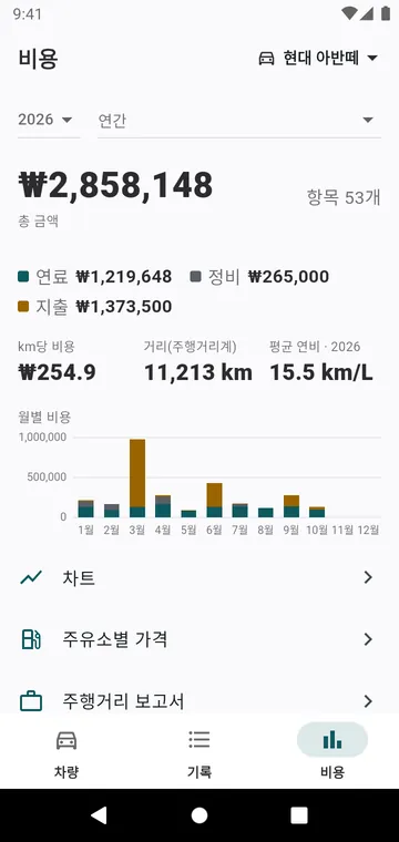 올해의 비용을 종류별·월별로, km당 비용과 함께