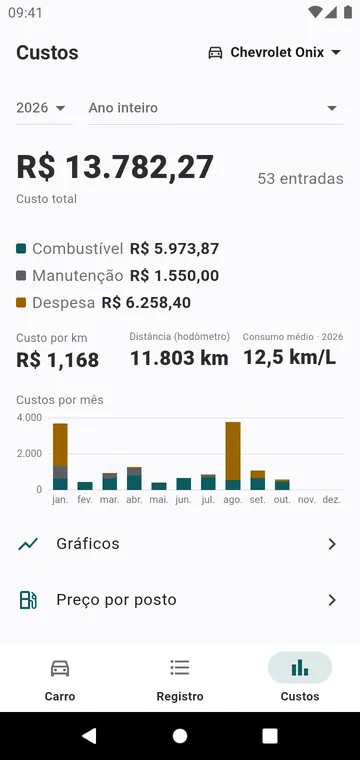 Os custos do ano, por tipo e por mês, e o custo por quilômetro