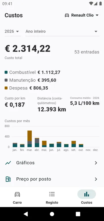 Os custos do ano, por tipo e por mês, e o custo por quilómetro