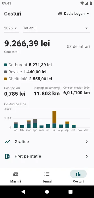 Costurile anului, pe tip și pe lună, și costul pe kilometru