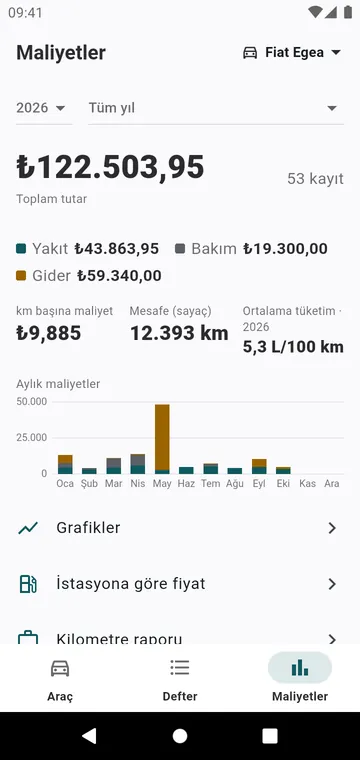 Yılın maliyetleri, türe ve aya göre, ve kilometre başına maliyet